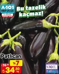PATLICAN KG indirimli fiyat PATLICAN KG fiyat ve kampanya bilgisi